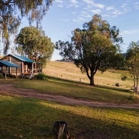 וודונגה Gaddleen Grove Cottages מראה חיצוני תמונה