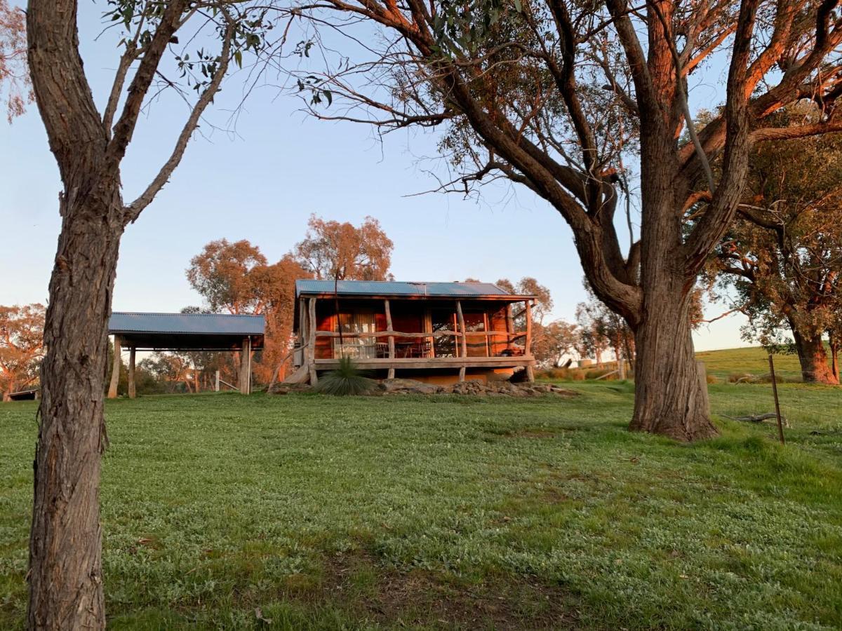וודונגה Gaddleen Grove Cottages מראה חיצוני תמונה