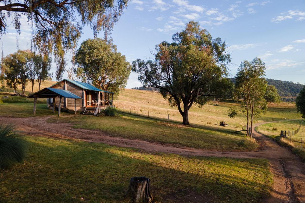 וודונגה Gaddleen Grove Cottages מראה חיצוני תמונה