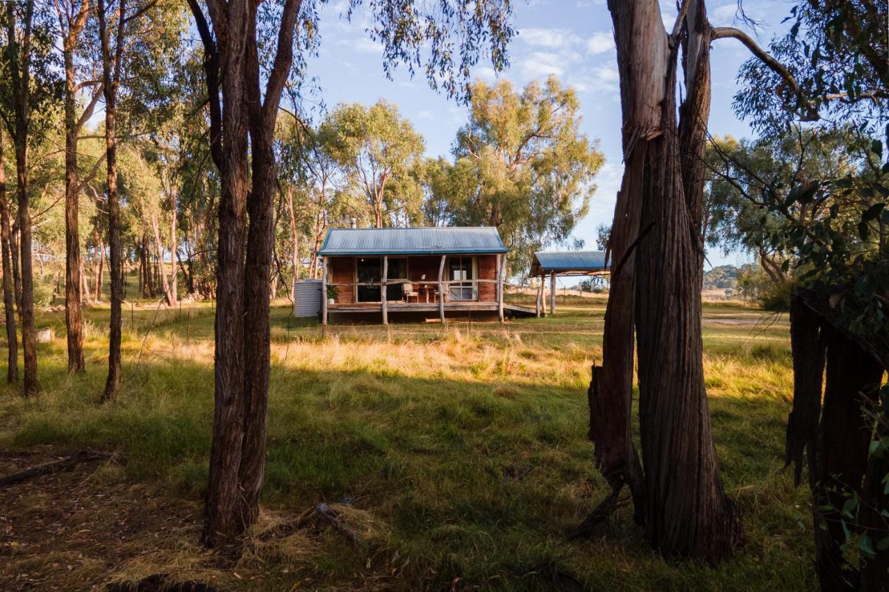 וודונגה Gaddleen Grove Cottages מראה חיצוני תמונה