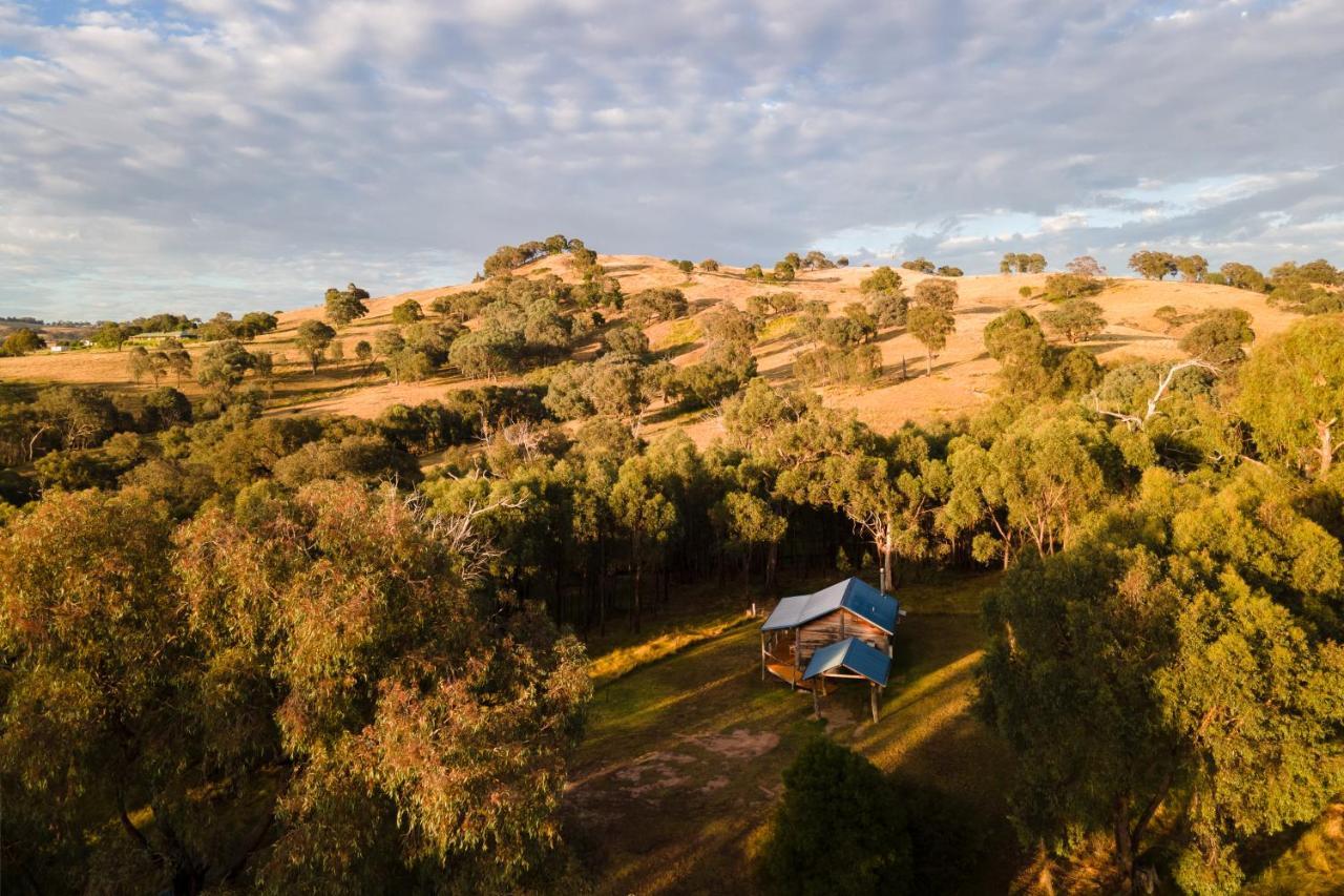 וודונגה Gaddleen Grove Cottages מראה חיצוני תמונה